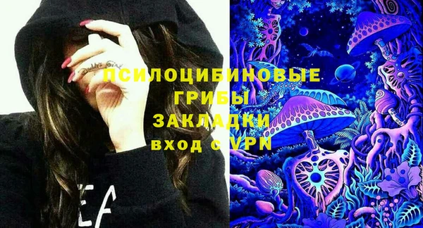 ALPHA PVP Верея