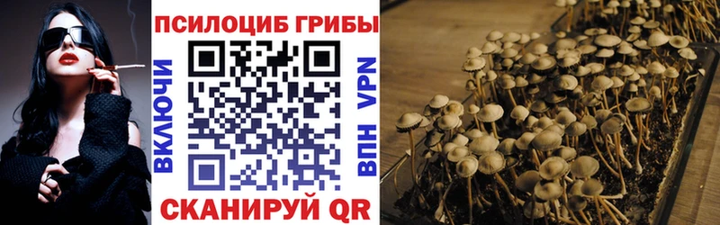 Псилоцибиновые грибы мухоморы  Выборг 